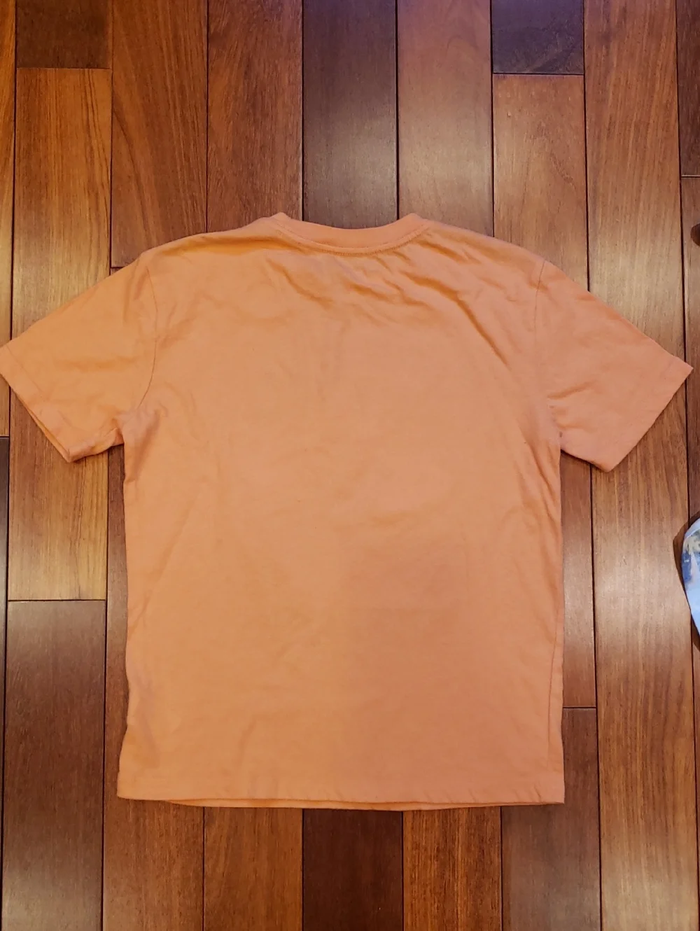 OshKosh, Eddie Bauer Boys Large 10- 12 Shirts.